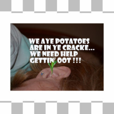 Product picture Ear Meme