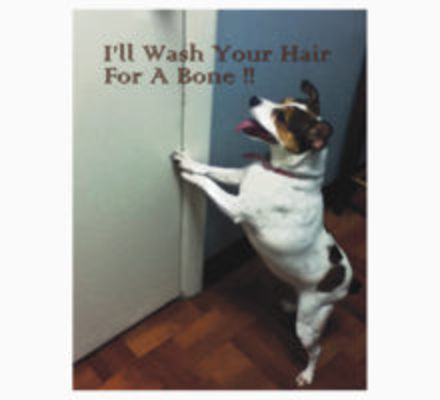 Product picture Funny Dog
